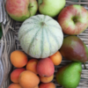 Afwisselend klein fruit- en klein groentepakket - 4 weken - Afbeelding 4